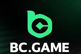 HashGame Mirror of BC Game Revolutionizing Online Gaming -2085021871