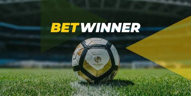 Experience the Thrill of BetWinner Casino Your Ultimate Gaming Destination