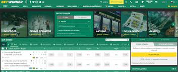 Exploring BetWinner A Comprehensive Overview