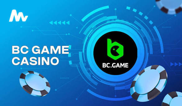 Understanding the BC App Verification Process A Detailed Guide Understanding the BC App Verification Process A Detailed Guide