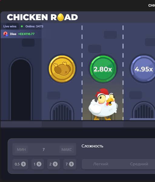 Chicken Road 2 Bono ¡Sigue el Camino de los Beneficios!
