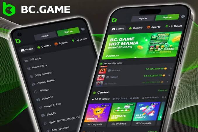 Complete Guide to BC.Game Registration