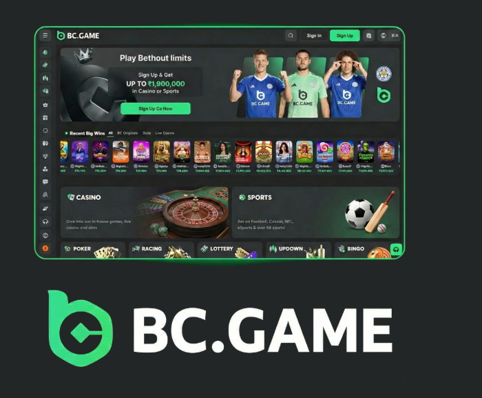 Explore the Exciting World of BC.Game Platform